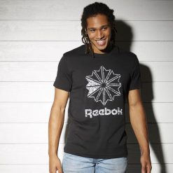 T-shirty męskie: Koszulka Reebok Logo Print (BK4183)