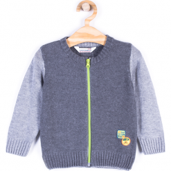 Sweter. Szare swetry chłopięce marki Cars, bez wzorów, z bawełny, bez kołnierzyka. Za 29,90 zł.
