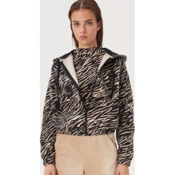 Bluza w zwierzęcy wzór - Beżowy. Brązowe bluzy damskie Sinsay, s, bez wzorów, bez rękawów, bez kaptura. Za 59,99 zł.