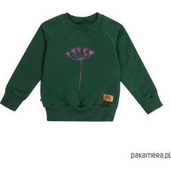 Bluzy chłopięce: Bluza flora 01