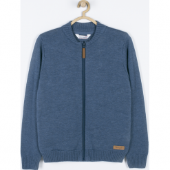 Sweter. Niebieskie swetry chłopięce marki SPEEDWAY, z bawełny. Za 89,90 zł.