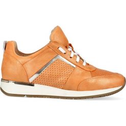 Sneakersy pomarańczowe. Pomarańczowe sneakersy damskie Arturo Vicci. Za 239,00 zł.