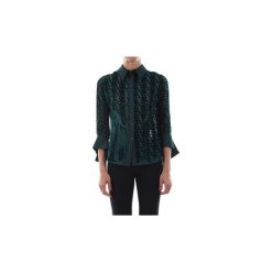 Koszule Elisabetta Franchi CA22796E1. Zielone koszule damskie Elisabetta Franchi, bez wzorów, bez kołnierzyka, bez rękawów. Za 1058,80 zł.