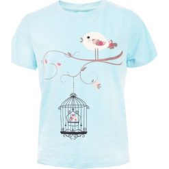 T-shirty chłopięce: Koszulka BIRD KIDS PASTEL BLUE 134