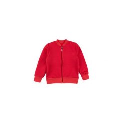Bluzy dziewczęce rozpinane: bluza rozpinana dziewczęca z przeszyciami, rozpinana, ze stójką