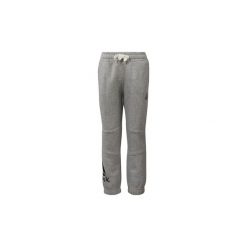Spodnie Dziecko Reebok Sport Spodnie Boys Elements Fleece. Szare spodnie chłopięce marki Reebok Sport. Za 149,00 zł.