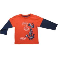 Carodel Koszulka Chłopięca Z Dinozaurami 74 Niebieski/Pomarańcz. Niebieskie t-shirty chłopięce marki Carodel. Za 29,00 zł.