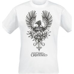 Fantastic Beasts Grindelwalds Verbrechen - Phoenix T-Shirt biały. Białe koszulki męskie marki Fantastic Beasts, l, z nadrukiem, retro, z okrągłym kołnierzem. Za 36,90 zł.
