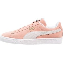 Trampki męskie: Puma SUEDE CLASSIC Tenisówki i Trampki muted clay/white