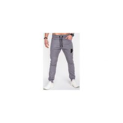 Joggery męskie: SPODNIE MĘSKIE JOGGERY P493 – SZARE