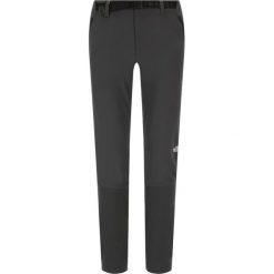 Spodnie outdoor The North Face Speedlight NF0A3VF79A11. Szare spodnie męskie The North Face, m, bez wzorów, sportowe. W wyprzedaży za 249,00 zł.