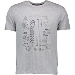T-shirty męskie z nadrukiem: Koszulka „Plenitude” w kolorze szarym
