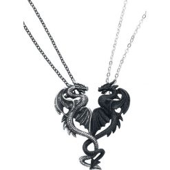 Naszyjniki damskie: Alchemy Gothic Draconic Tryst Naszyjnik czarny/odcienie srebrnego