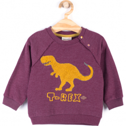 Bluza. Czerwone bluzy chłopięce rozpinane STEGOSAURUS, z bawełny. Za 49,90 zł.