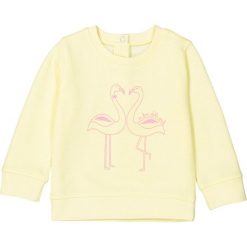 Bluza z moltonu, z nadrukiem, 1 mies. - 3 lat. Żółte bluzy dziewczęce marki La Redoute Collections, z nadrukiem, z elastanu, z długim rękawem, długie. Za 44,06 zł.