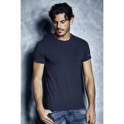 Męski T-shirt Enrico Coveri 1504 MB. Szare podkoszulki męskie marki Astratex, m, z napisami, z bawełny, z krótkim rękawem. Za 44,99 zł.