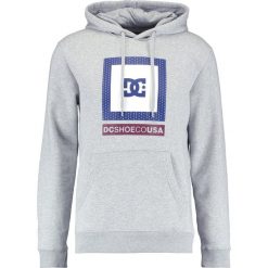 Bejsbolówki męskie: DC Shoes ATTITUDE Bluza z kapturem grey