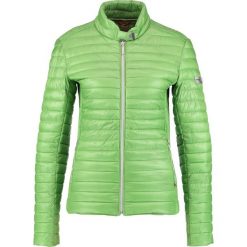 Kurtki damskie: Frieda & Freddies NEW JUDY Kurtka przejściowa green