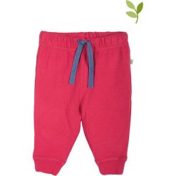 Spodnie niemowlęce: Spodnie „Raspberry ” w kolorze różowym