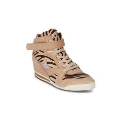 Buty Ash JAZZ. Brązowe trampki i tenisówki damskie Ash, bez wzorów, bez zapięcia. Za 469,50 zł.