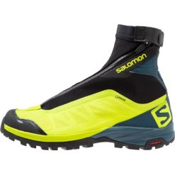 Buty trekkingowe męskie: Salomon OUTPATH PRO GTX Buty trekkingowe lime punch/reflecting pond/black