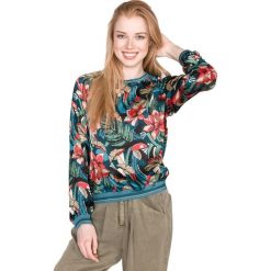 Pepe Jeans Frances Koszulka Wielokolorowy. Koszulki damskie Pepe Jeans, xs, w kwiaty, z poliesteru, bez kołnierzyka, z długim rękawem. Za 378,95 zł.