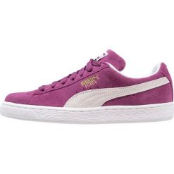 Trampki męskie: Puma SUEDE CLASSIC Tenisówki i Trampki grape kiss/white