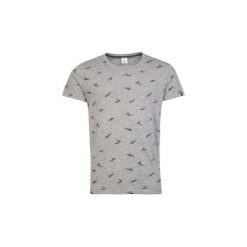 T-shirty z krótkim rękawem Protest CAMISETA PARA HOMBRE. Szare t-shirty męskie Protest, s, bez wzorów, bez kołnierzyka, krótkie. Za 177,85 zł.