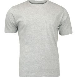 Szary T-Shirt (Koszulka) Męski, Klasyczny, Bez Nadruku, 100% BAWEŁNA - Basic Store TSBSTR0003POP. Szare koszulki męskie Basic Store, m, z nadrukiem, z bawełny, klasyczne, z klasycznym kołnierzykiem. Za 19,99 zł.