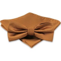 Karmelowa Mucha Męska - ALTIES - Taka Sama Poszetka, Beżowa, Jednokolorowa MUALTS0356. Brązowe muszki męskie Alties, na imprezę, w paski, eleganckie. Za 40,00 zł.
