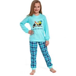 Bielizna chłopięca: Piżama dziewczęca 592/82 toucan young r. 146/152