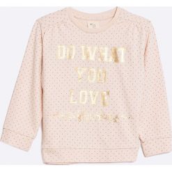 Bluzy dziewczęce: zippy – Bluza dziecięca 95-118 cm