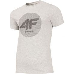 T-shirt męski TSM248 - chłodny jasny szary melanż. Szare koszulki męskie 4f, m, bez wzorów, bez kołnierzyka. Za 49,99 zł.