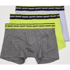 Bokserki męskie: 3 pack bokserek – Zielony