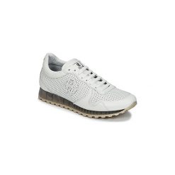 Buty Roberto Cavalli 4226. Białe trampki męskie marki Roberto Cavalli, bez wzorów, bez zapięcia. Za 951,20 zł.