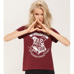 T-shirty damskie: T-shirt hogwarts – Bordowy
