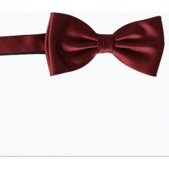 Mc Earl - Muszka męska, czerwony. Czerwone muszki męskie marki Mc Earl, z satyny, eleganckie. Za 69,95 zł.