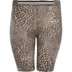 Zoey Dżersejowe spodenki rowerowe we wzory zwierzęce Leo we wzory female ze wzorem L (50/52). Legginsy sportowe damskie Zoey, s, bez wzorów, z dżerseju. Za 189,00 zł.