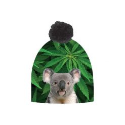 Czapki zimowe damskie: Czapka hauer KOALA