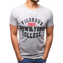 T-shirty męskie z nadrukiem: T-shirt męski z nadrukiem szary (rx2763)