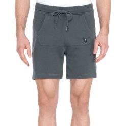 Replay Szorty Szary. Szare spodenki i szorty męskie Replay, m, bez wzorów, z bawełny. Za 464,95 zł.