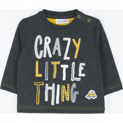 Koszulka. Szare t-shirty chłopięce PLAY ALL DAY, z aplikacjami, z dzianiny, z długim rękawem. Za 39,90 zł.