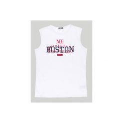 T-shirty męskie: t-shirt bez rękawów męski gładki
