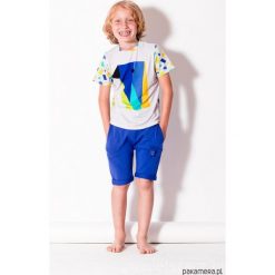 T-shirt papuga. Szare t-shirty chłopięce marki Pakamera, w kolorowe wzory. Za 79,00 zł.
