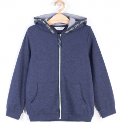 Bluza. Niebieskie bluzy chłopięce marki BASIC BOY, z napisami, z bawełny, z kapturem. Za 49,90 zł.
