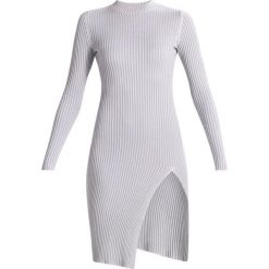 Sukienki: Ivyrevel EXTASE Sukienka dzianinowa grey