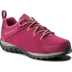 Buty trekkingowe dziewczęce: Trekkingi COLUMBIA – Youth Venture BY2858 Haute Pink/Napa Green 627