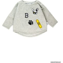 Bluzy dziewczęce: Bluza dog patches – szary