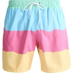 Kąpielówki męskie: Boardies REFRESHER Szorty kąpielowe multicolour