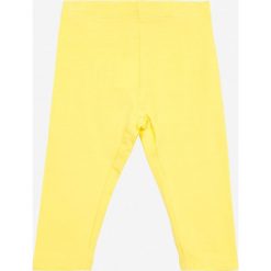 Legginsy dziewczęce: Blukids – Legginsy dziecięce 68-98 cm (2-pack)